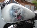 Honda VT750C2 Shadow 
